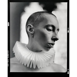 Kentmere PAN 400 Black & White Negative Film (120 Roll Film) at PROCAM | procam.com