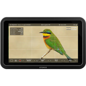 Atomos Shinobi II 5.2" HDMI HDR Monitor at PROCAM | procam.com