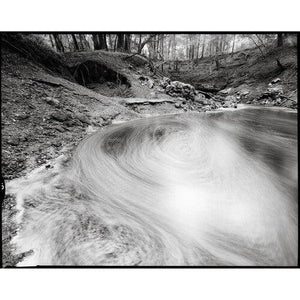Kodak Professional T-Max 100 Black and White Negative Film (120 Roll Film) 5-Pack at PROCAM | procam.com