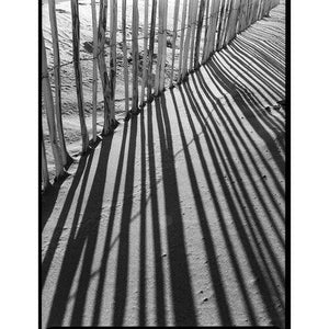 Kodak Professional Tri-X 400 Black and White Negative Film (120 Roll Film) 5-Pack at PROCAM | procam.com