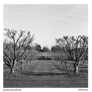 Kentmere PAN 200 Black & White Negative Film (120 Roll Film) at PROCAM | procam.com