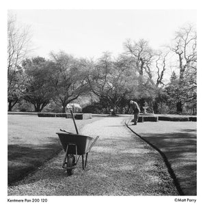 Kentmere PAN 200 Black & White Negative Film (120 Roll Film) at PROCAM | procam.com