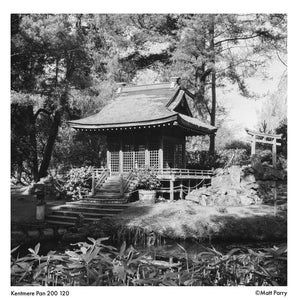 Kentmere PAN 200 Black & White Negative Film (120 Roll Film) at PROCAM | procam.com