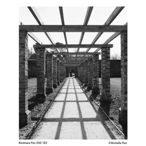 Kentmere PAN 200 Black & White Negative Film (120 Roll Film) at PROCAM | procam.com