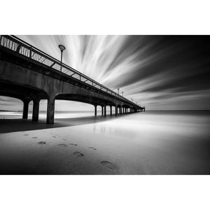 Venus Optics Laowa 12mm f/2.8 Lite Zero-D AF Lens (Nikon Z, 5-Blade Aperture) at PROCAM | procam.com