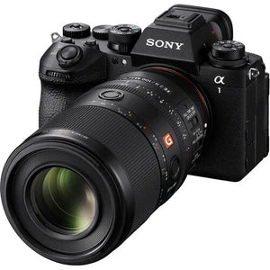 Sony FE 100mm f/2.8 MACRO GM OSS Lens at PROCAM | procam.com