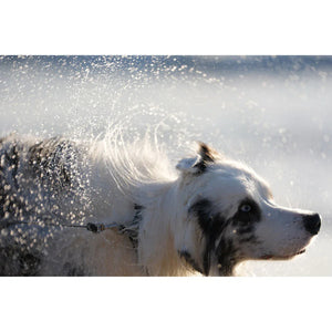 Sony a7 V Mirrorless Camera at PROCAM | procam.com