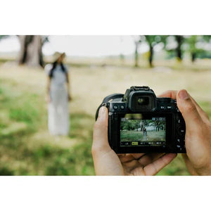 Nikon Z50 II Mirrorless Camera with 16-50mm & 50-250mm Lenses at PROCAM | procam.com