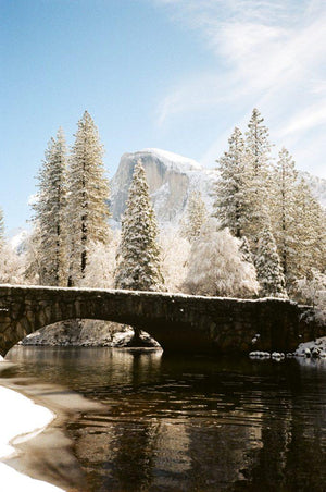 Kodak ColorPlus 200 Color Negative Film (35mm Roll Film, 36 Exposures) at PROCAM | procam.com