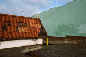 Kodak Professional Portra 400 Color Negative Film (35mm Roll Film, 36 Exposures) Single Roll at PROCAM | procam.com