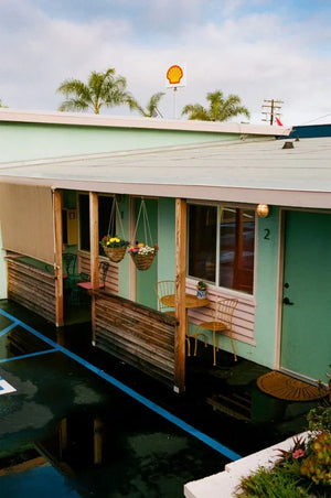 Kodak Professional Portra 400 Color Negative Film (35mm Roll Film, 36 Exposures) Single Roll at PROCAM | procam.com