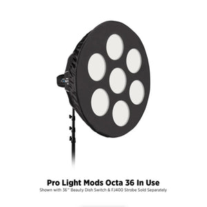 Westcott Pro Light Mods Octa 36 at PROCAM | procam.com
