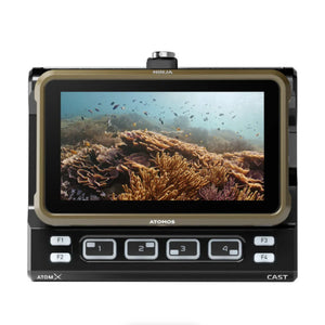 Atomos Ninja 5.2" 4K HDMI Recording Monitor at PROCAM | procam.com