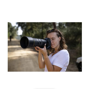 Nikon NIKKOR Z 600mm f/6.3 VR S Lens at PROCAM | procam.com