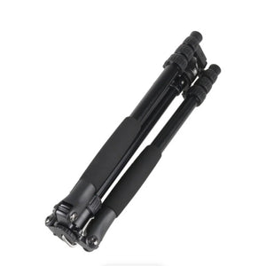 Sirui T-004SK Aluminum Tripod with B-00 Ball Head (Black) at PROCAM | procam.com