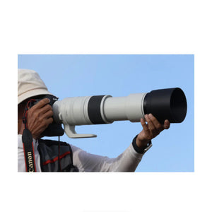 Canon RF 200-800mm f/6.3-9 IS USM Lens at PROCAM | procam.com