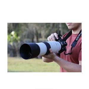 Canon RF 200-800mm f/6.3-9 IS USM Lens at PROCAM | procam.com