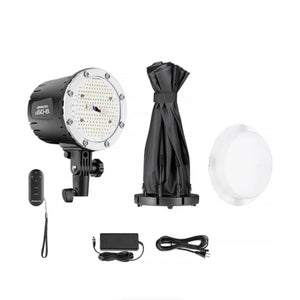 Westcott U60-B Bi-Color LED Monolight Kit with 22" Octabox at PROCAM | procam.com
