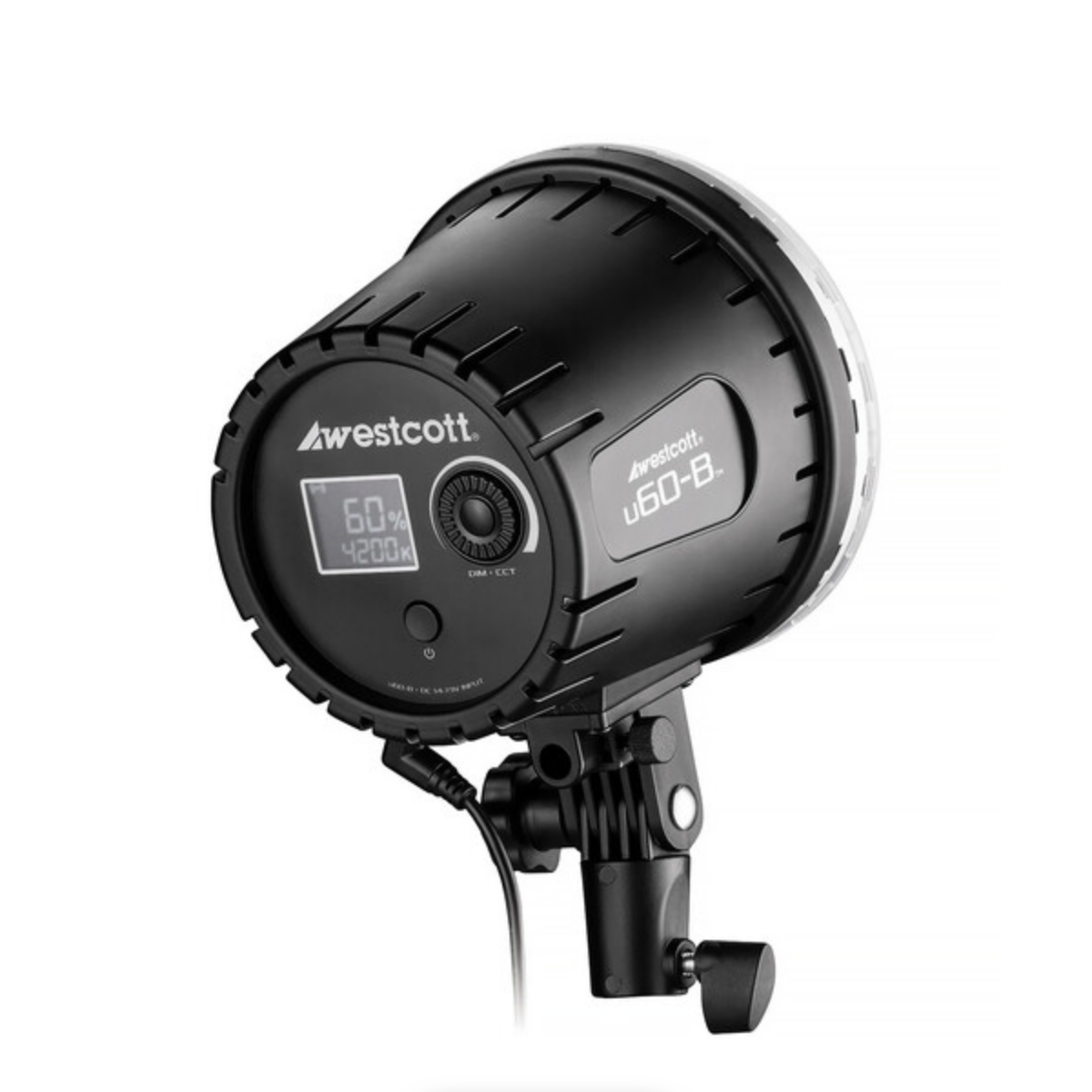 Westcott U60B BiColor 2Light LED Monolight Kit with 22" Octabox (2