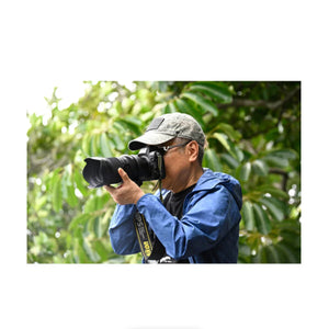 Tamron 50-400mm f/4.5-6.3 Di III VC VXD Lens for Nikon Z at PROCAM | procam.com