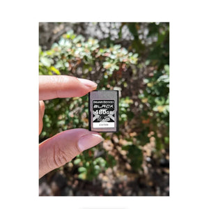 Delkin Devices BLACK CFexpress Type A 4.0 Memory Card - 480GB at PROCAM | procam.com