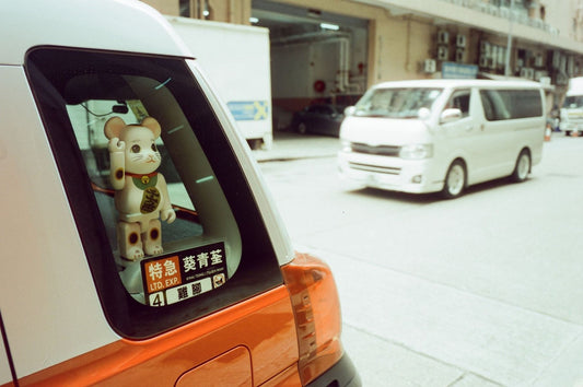 Vandal Daylight 200 Color Negative Film (35mm Roll Film, 36 Exposures)