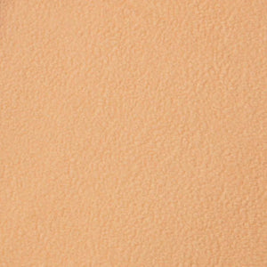 Westcott Wrinkle-Resistant Backdrop - Brown Sugar (9' x 20') at PROCAM | procam.com