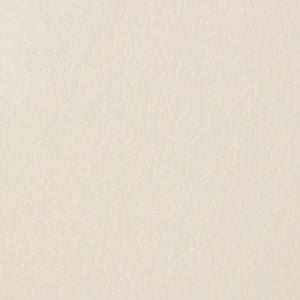 Westcott Wrinkle-Resistant Backdrop - Buttermilk White (9' x 20') at PROCAM | procam.com