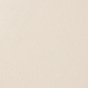 Westcott Wrinkle-Resistant Backdrop - Buttermilk White (9' x 10') at PROCAM | procam.com