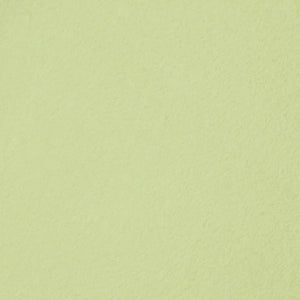 Westcott Wrinkle-Resistant Backdrop - Light Moss Green (9' x 20') at PROCAM | procam.com