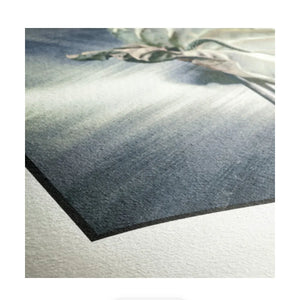 Hahnemuhle German Etching Paper 8.5 x 11'' - 25 Sheets at PROCAM | procam.com