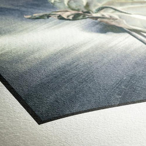 Hahnemuhle German Etching Paper 13 x 19" - 25 Sheets at PROCAM | procam.com