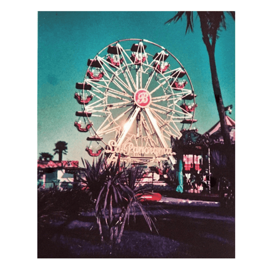 Lomography LomoChrome Purple Saturday Edition Simple Use Reloadable Film Camera | PROCAM