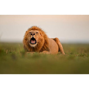 Nikon NIKKOR Z 400mm f/2.8 TC VR S Lens at PROCAM | procam.com