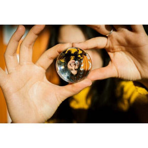 Nikon NIKKOR Z 40mm f/2 Lens at PROCAM | procam.com