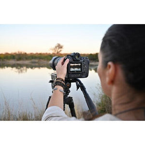 Nikon Z9 Mirrorless Digital Camera (Body Only) at PROCAM | procam.com