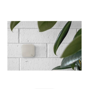 Peak Design Mobile Smartphone Magnetic Wall Mount (Bone) at PROCAM | procam.com