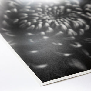 ProMaster Fine Art Baryta Natural Satin Inkjet Photo Paper - 11''x17'' - 20 Sheets at PROCAM | procam.com