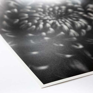 ProMaster Fine Art Baryta Natural Satin Inkjet Photo Paper - 13''x19'' - 20 Sheets at PROCAM | procam.com