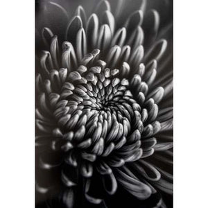 ProMaster Fine Art Baryta Natural Satin Inkjet Photo Paper - 13''x19'' - 20 Sheets at PROCAM | procam.com