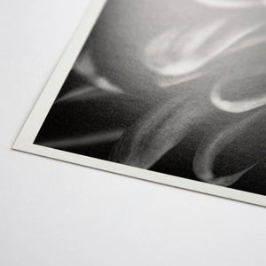 ProMaster Fine Art Baryta Natural Satin Inkjet Photo Paper - 8.5''x11'' - 20 Sheets at PROCAM | procam.com