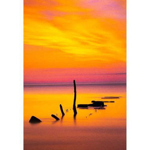 ProMaster Fine Art Cold Press Bright Matte Inkjet Photo Paper - 8.5''x11'' - 20 Sheets at PROCAM | procam.com