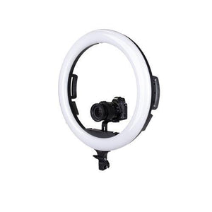 ProMaster Specialist R19RGB 19" LED Ringlight at PROCAM | procam.com
