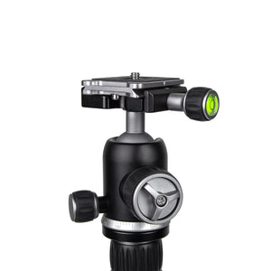 ProMaster XC-M 522CK Professional Carbon Fiber Tripod Kit with Head (Silver) at PROCAM | procam.com