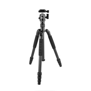 Sirui T-024SK Carbon Fiber Tripod with B-00 Ball Head (Black) at PROCAM | procam.com