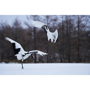 Sony FE 100-400mm f/4.5-5.6 GM OSS Lens at PROCAM | procam.com