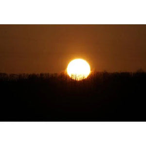 Sony FE 100-400mm f/4.5-5.6 GM OSS Lens at PROCAM | procam.com