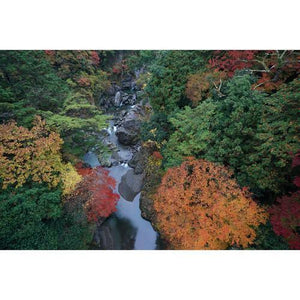 Sony FE 16-35mm f/2.8 GM Lens at PROCAM | procam.com