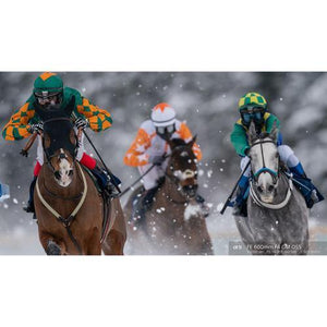 Sony FE 600mm f/4 GM OSS Lens at PROCAM | procam.com