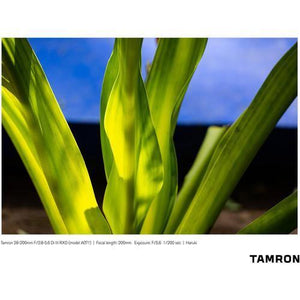 Tamron 28-200mm f/2.8-5.6 Di III RXD Lens for Sony E at PROCAM | procam.com